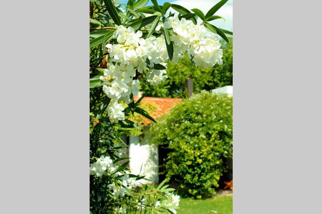 Big Beautiful House With Garden In 5Ta Seccion Neighbourhood Villa Mendoza Eksteriør bilde