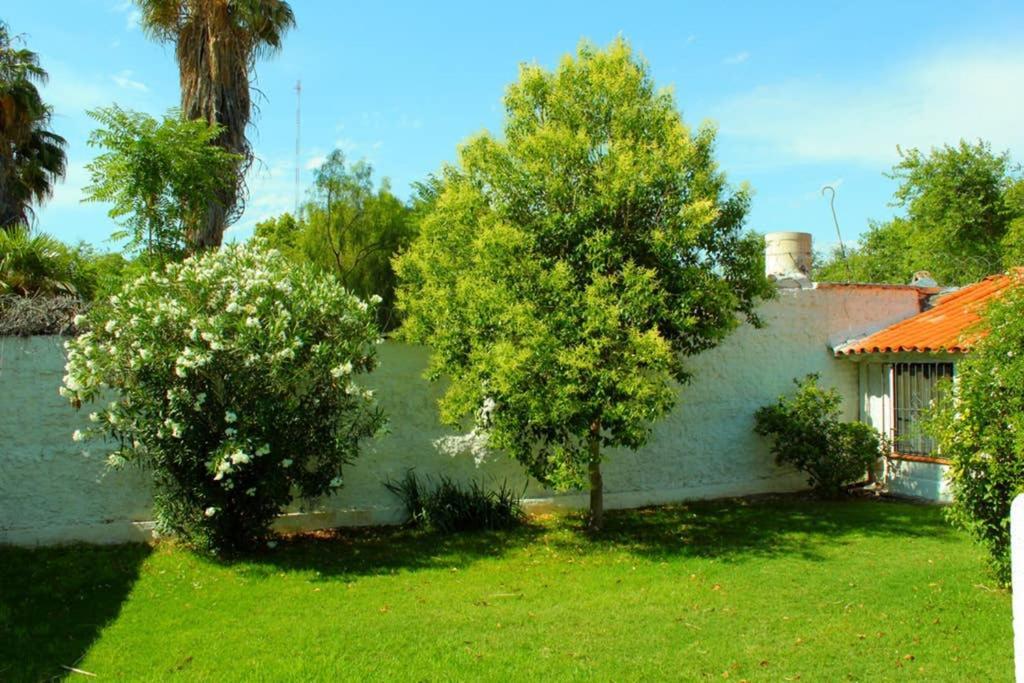 Big Beautiful House With Garden In 5Ta Seccion Neighbourhood Villa Mendoza Eksteriør bilde