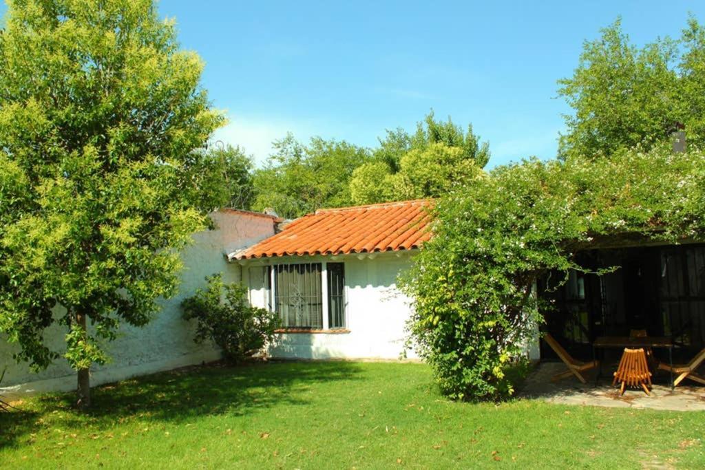 Big Beautiful House With Garden In 5Ta Seccion Neighbourhood Villa Mendoza Eksteriør bilde